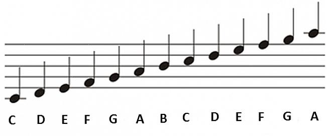 יד שמאל של פסנתרן משמשת לנגינת התווים במפתח הבס של נגינת הפסנתר