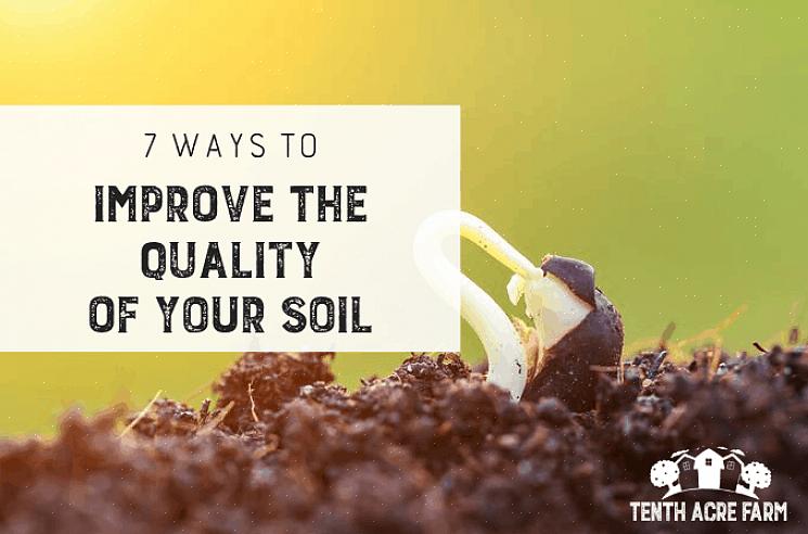אם האדמה בגינה שלך תומכת בסט חדש של צמחים או יבול לפחות פעם אחת לשנה