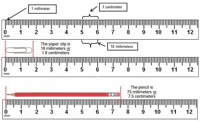 הסולם המטרי מודד אורך או מרחק במילימטרים ובסנטימטרים