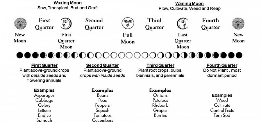 עקוב אחר שלבי הירח ומיקומם האסטרולוגי ותכנן את פעילויות הגינון שלך על ידם
