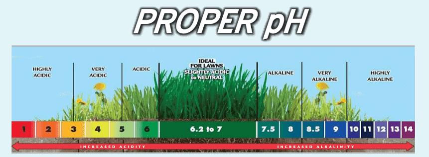 הדבר הגרוע ביותר שאתה יכול לעשות הוא להגדיל את ה- pH בקרקע כאשר ה- pH הוא מספיק גבוה