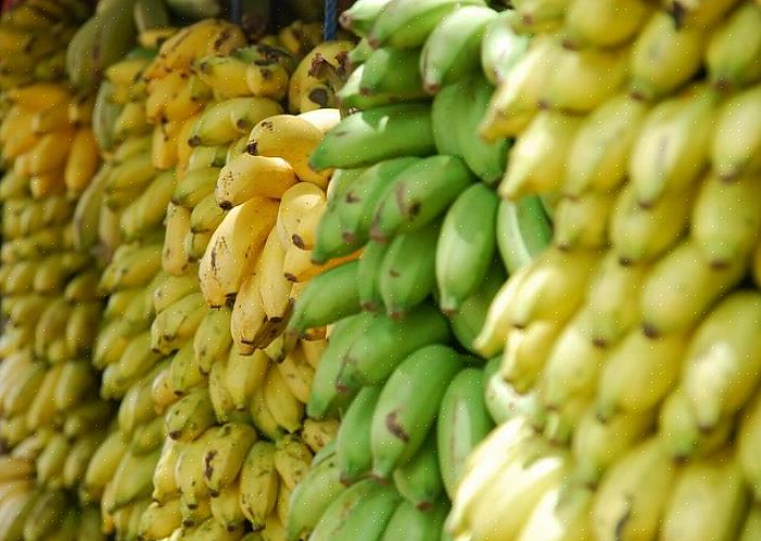 ירוק - בננות עם צבע ירוק בעיקרן עדיין לא מוכנות לאכילה גולמית