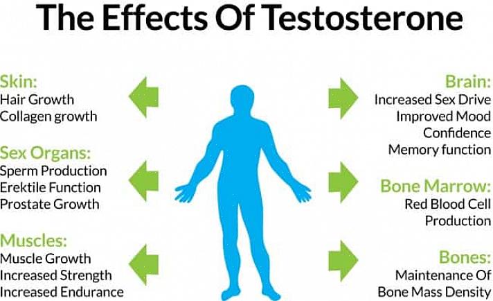 זה מראה שדיאטות דלות שומן מורידות את רמות הטסטוסטרון הכוללות ו / או טסטוסטרון חופשי בעוד שתזונה בינונית