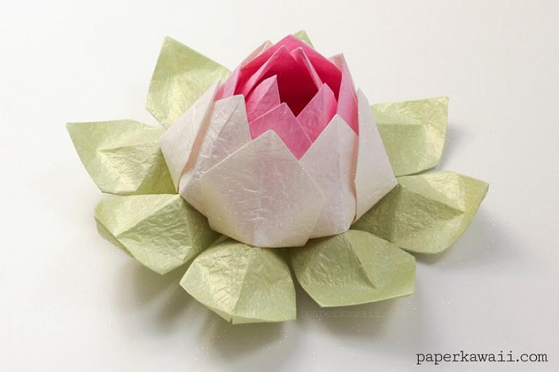 האוריגמי היחיד שאתה מכיר הוא מנופי נייר מתקפלים