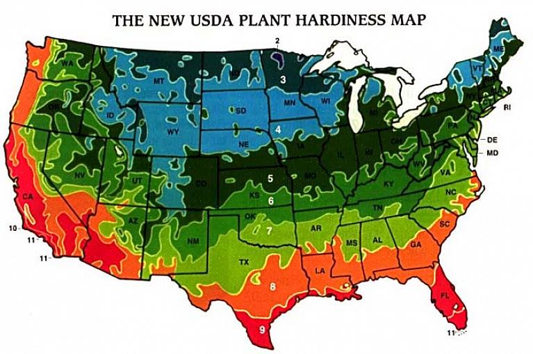 באמצעות מפת אזור קשיחות הצמחים של USDA כדי למצוא את האזור בו הם גרים