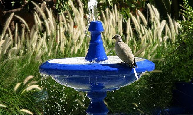 הראשון שעליך לשקול הוא אם לקבל את אמבט הציפורים המופעל באמצעות השמש או באמצעות החשמל