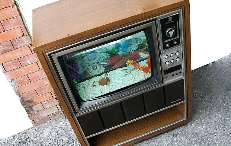 אך ניתן להכין מיכל דגים עם כל טלוויזיה ישנה