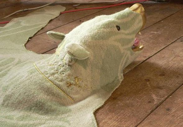 שטיחי עור דובים עשויים מקליפה או מעור של דוב מסוגים שונים