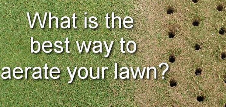 תוכלו לבחור באמצעות מכסחת דשא או לחתוך ידנית באמצעות חותכי דשא