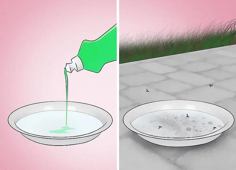 להלן כמה צמחים בהם תוכלו להשתמש כדי להרחיק את היתושים וכיצד להשתמש בהם