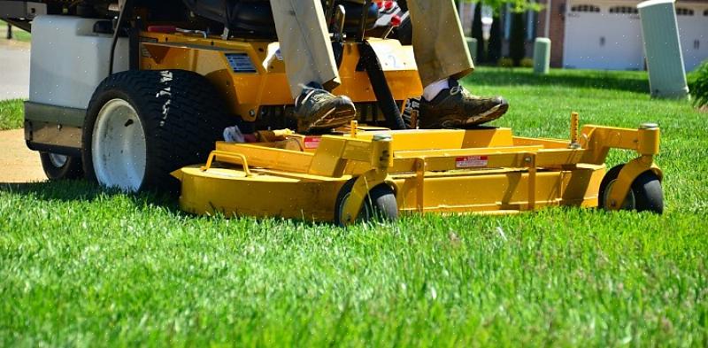 קרא ביקורות על שירותי דשא כדי למצוא את חברת אחזקת הדשא הטובה ביותר באזור שלך
