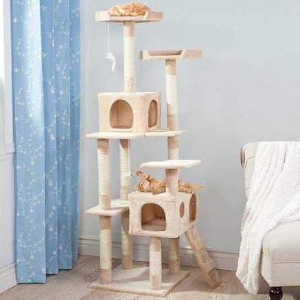 עיצוב רהיטי עץ חתול