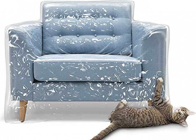למד כיצד לטפל בבעיות התנהגות של חתולים בכדי לסלק שתן ברהיטים