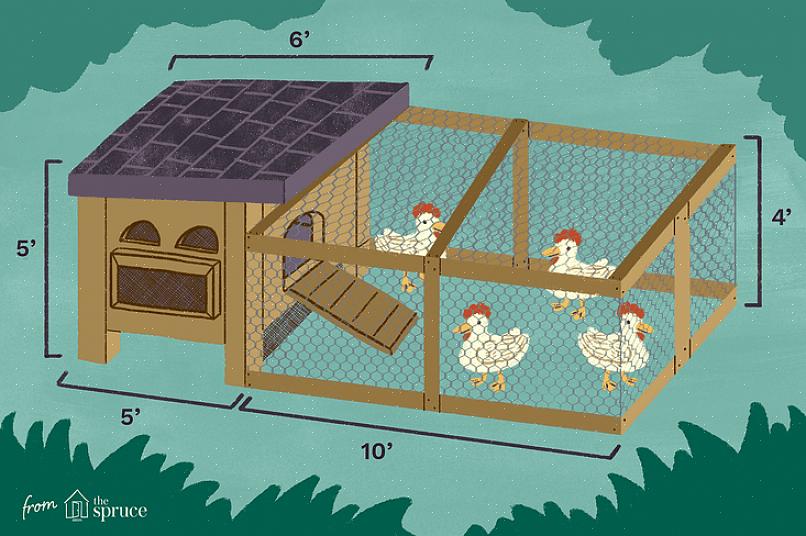 תצטרך גם חוט עוף לחלק החצר של לול התרנגולות שלך