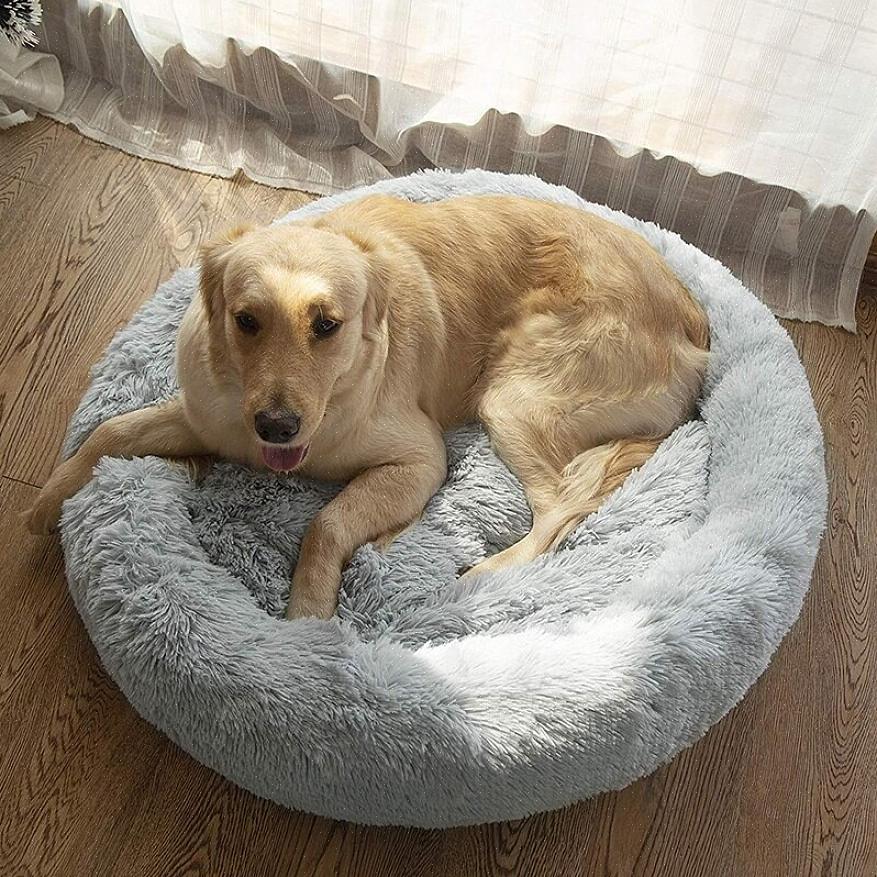 עדיף לקבל מיטת כרית פשוטה לכלבכם