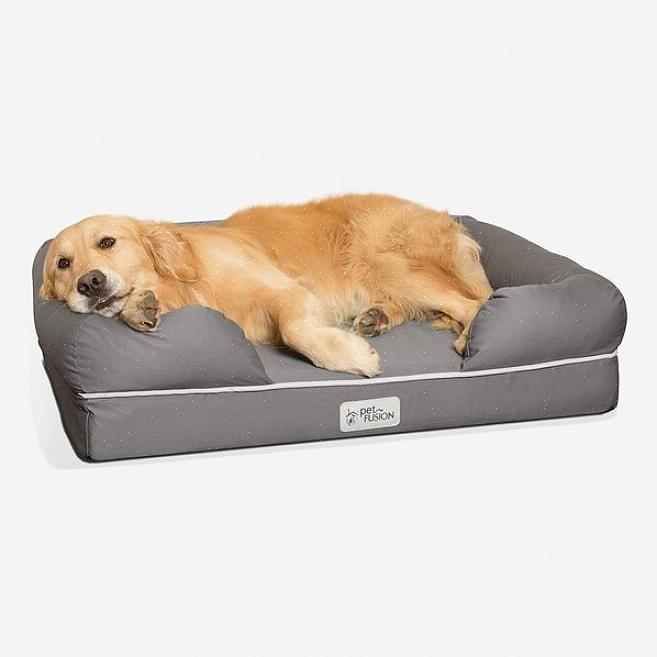 מיטת הכלבים היוקרתית עבור החבר שלך מוכנה לשימוש