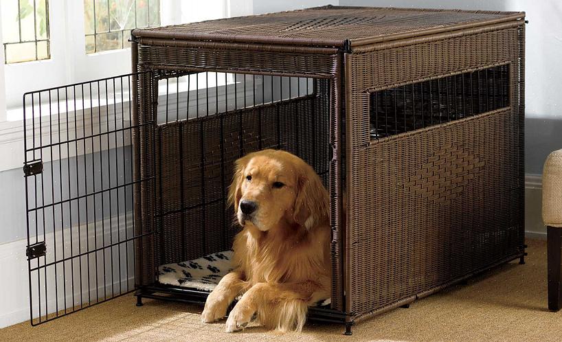 ארגז כלבים גם שימושי כאשר מגן על כלבכם מפני קטטה אפשרית עם חיות מחמד אחרות בבית