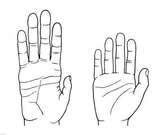מפרקי אצבעות חזקים יותר יאפשרו לכם לעסוק במגוון אומנויות לחימה כמו גם באגרוף
