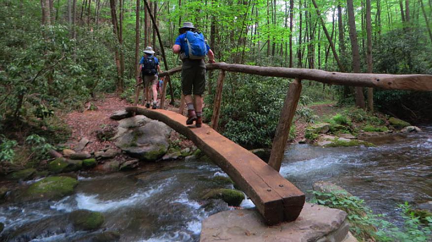 הפארק הלאומי Great Smoky Mountains הוא יעד אידיאלי עבור מטיילים בכל רמות הכושר והחוויה