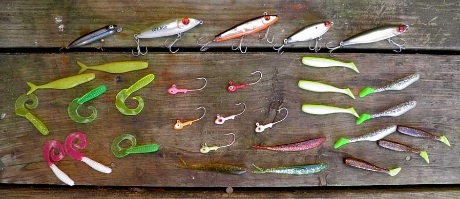 פיתיון טיפ שונה עבור סוגים שונים של דיג מים מלוחים