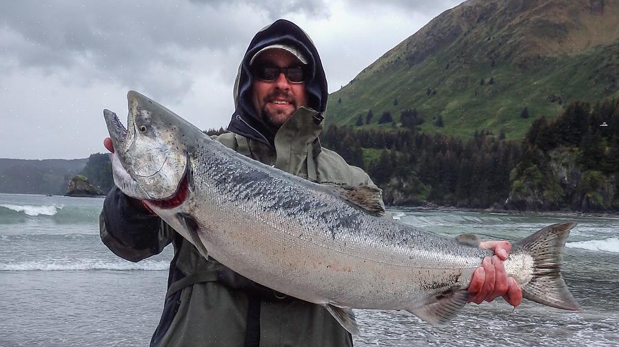 אלסקה כוללת מספר סוגים של פעילויות דיג שתוכלו לנסות
