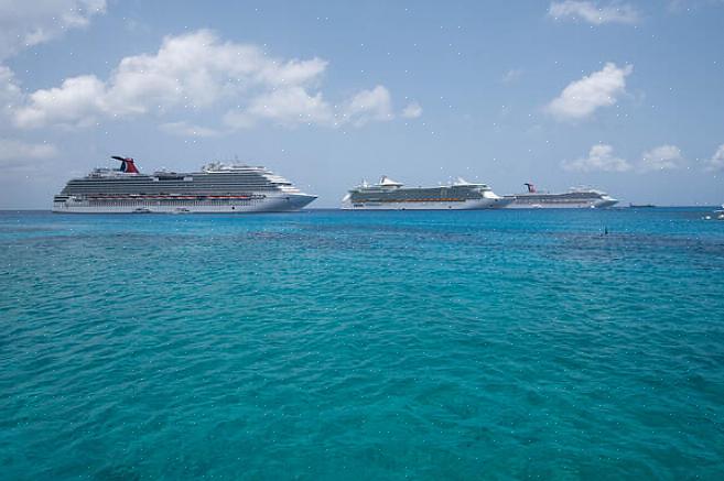 האגודה הבינלאומית Cruise Line (CLIA) היא ארגון השייט הגדול בעולם