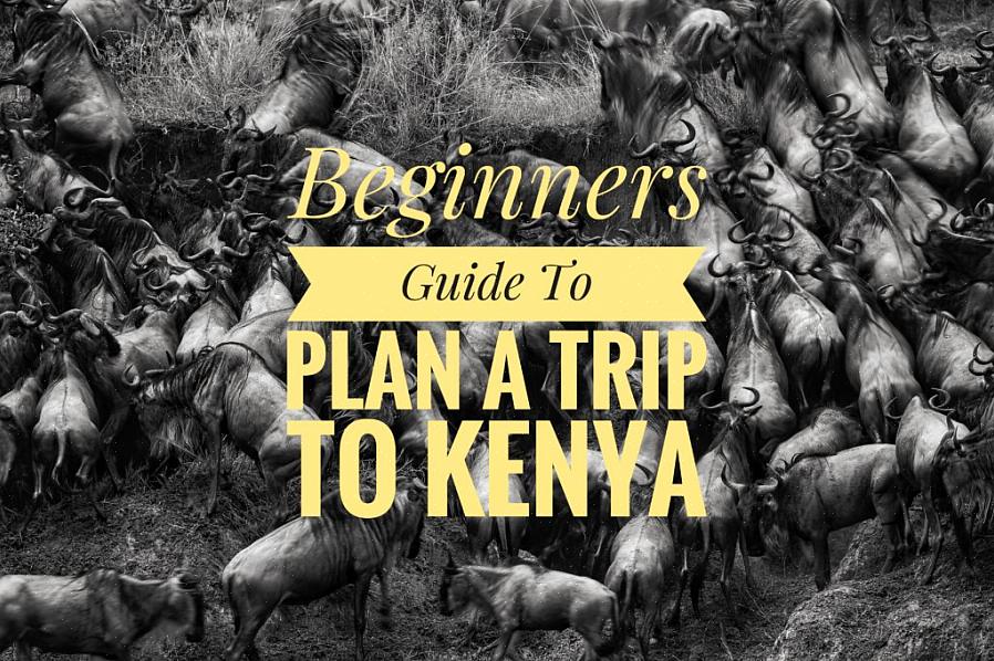 החלט אם ברצונך להשתמש בסוכן נסיעות כדי לתכנן את נסיעתך לקניה