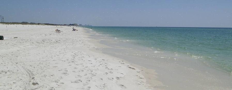 הנה כמה חופים בולטים בפלורידה ובמה שהם ידועים בדרך כלל