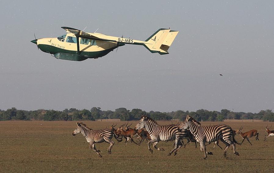 אתה יכול לקחת טיסות מלונדון באמצעות African Safari Airways כדי להגיע למומבסה