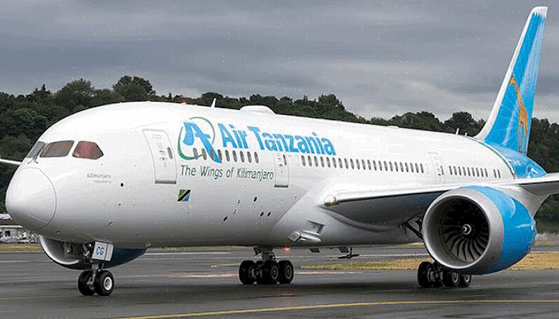 אייר טנזניה היא אחת מחברות התעופה הגדולות במזרח אפריקה