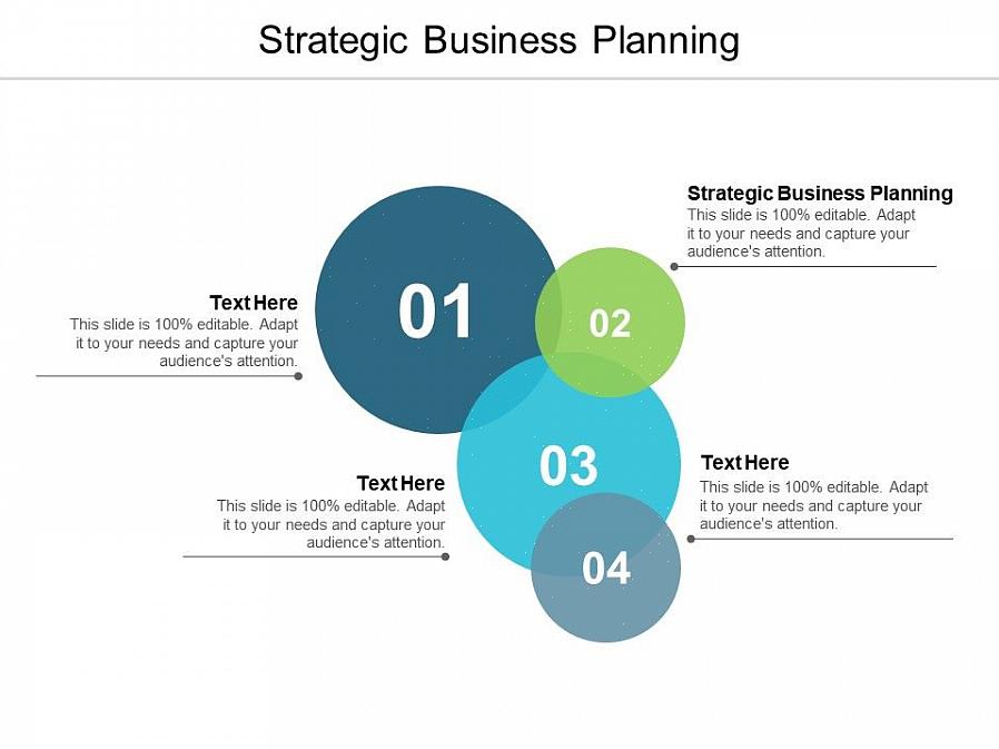 האסטרטגיות הנפוצות בתכנון עסקי הן הבאות
