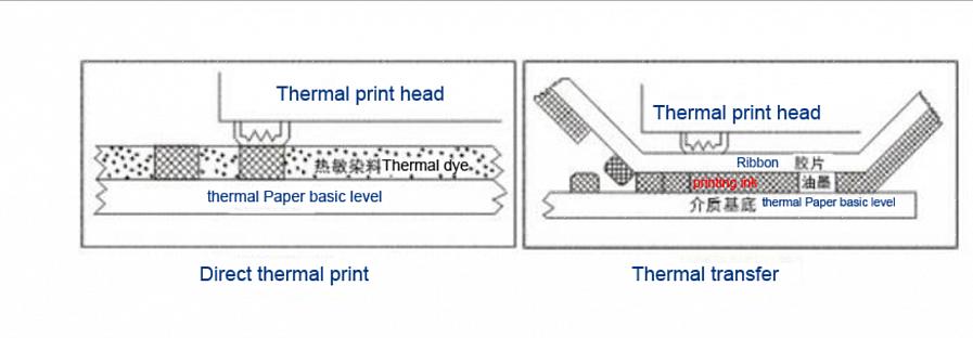 לאחר מכן מתרחש העברה תרמית כאשר הנייר מגיב עם ראש ההדפסה של המדפסת