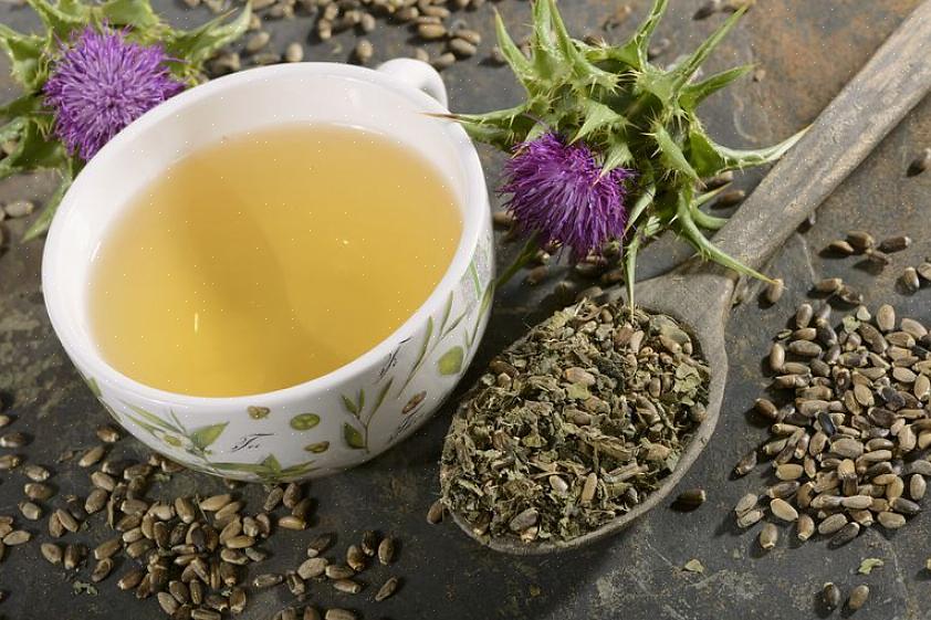 תה גדילן חלב הוא בין מגמות התה החדשות ביותר לירידה במשקל