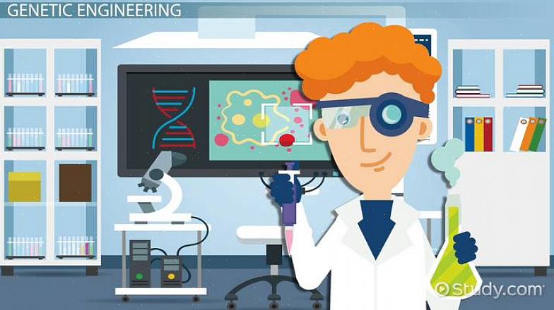 קורסים בחטיבה העליונה כמו גנטיקה מתקדמת ואימונולוגיה ישפרו את הכנתכם לקריירה בהנדסה גנטית