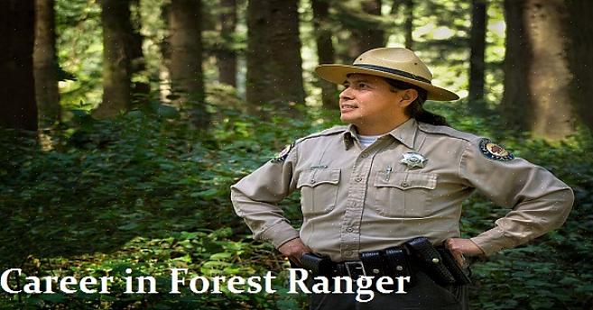 הגשת מועמדות לשירות היערות באירופה או לשירותי ייעור ממלכתיים ספציפיים היא הצעד האחרון להפוך לשומר יערות