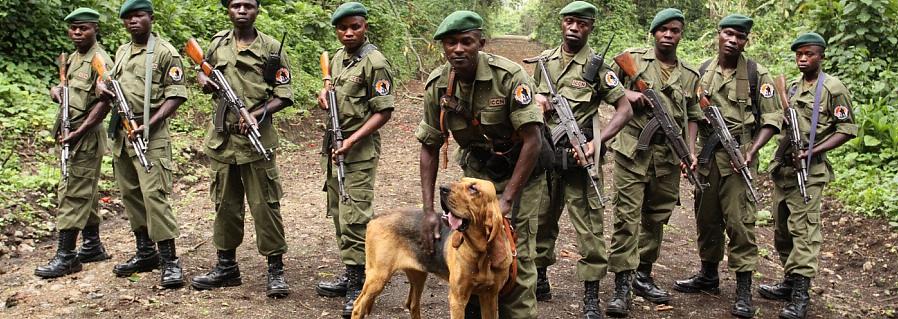 לקיחת אימונים בכלי ירייה ושיעורי בטיחות נשק חיוניים כדי להקדים את השלב הבא בהשגת תואר שומר יער
