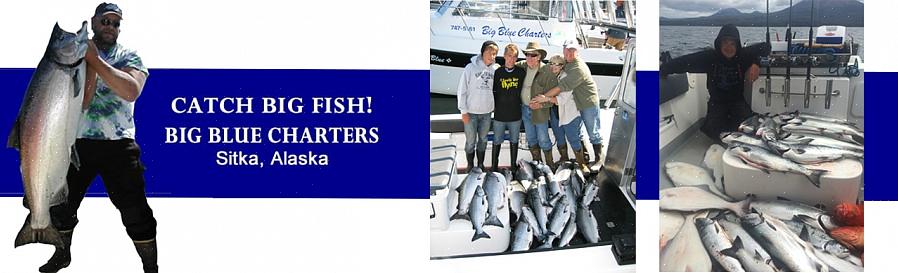 אתה יכול לבקר באתרי אינטרנט של חברות דיג שונות באלסקה