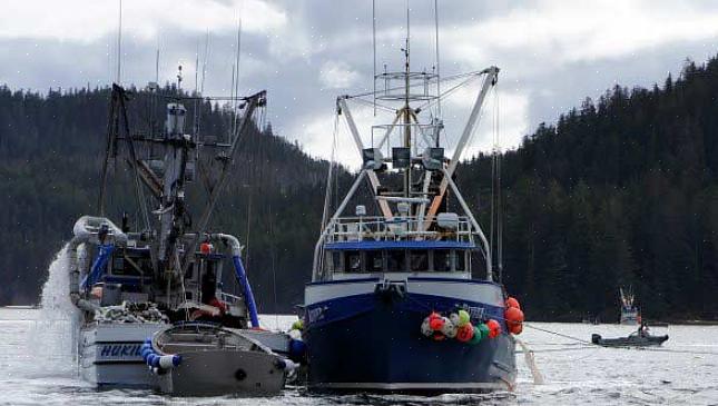 המקומות באלסקה שבהם יש לך את הסיכויים הטובים ביותר להבקיע עבודות דיג בסרטנים כוללים נמל הולנדי